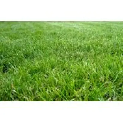 КАЗАЧИНСКАЯ 182