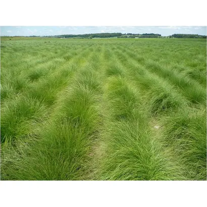 МОРШАНСКАЯ 4