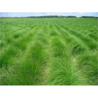 СВЕРДЛОВСКАЯ 37