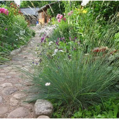 ПАВЛОВСКАЯ