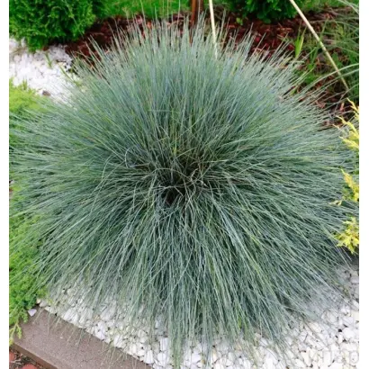 СТАВРОПОЛЬСКАЯ 20