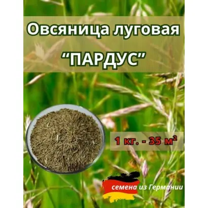 ПАРДУС