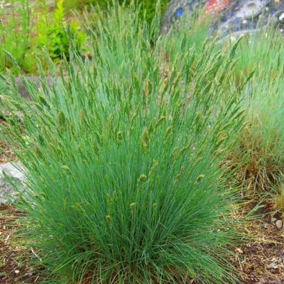 ВАЛДАЙСКАЯ