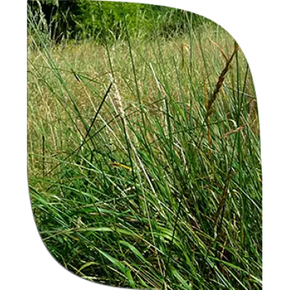 КРАСНОПОЙМСКАЯ 92