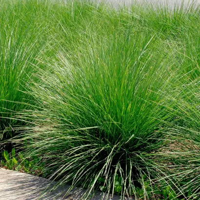 КРАСНОДАРСКАЯ 50