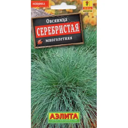 СЕРЕБРЯНКА