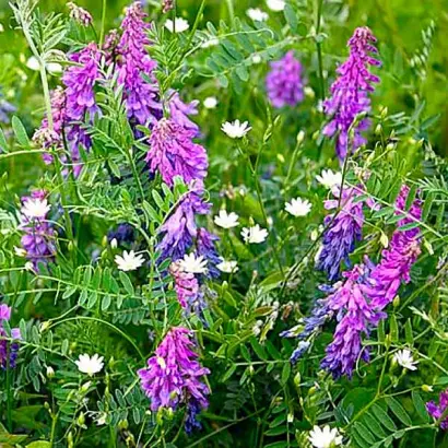 ЛЬГОВСКАЯ 22