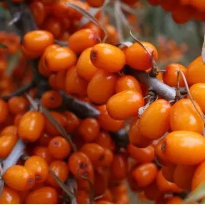 ВАЛЕНТИНКА