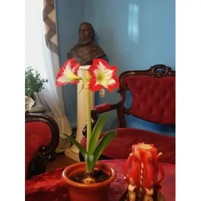 ПАМЯТИ С.Т. АКСАКОВА