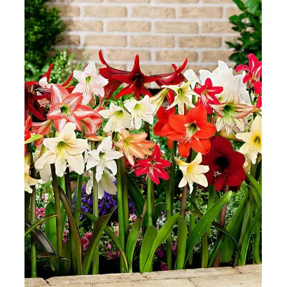 ВЕСЕННИЙ МОТИВ