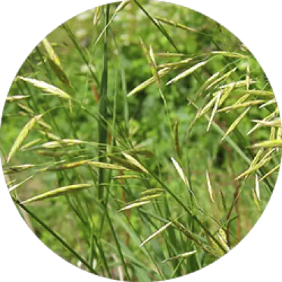 ПАВЛОВСКИЙ 22/05