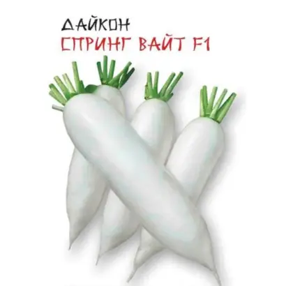 СПРИНГ ВАЙТ