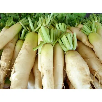 ОСЕННИЙ КРАСАВЕЦ