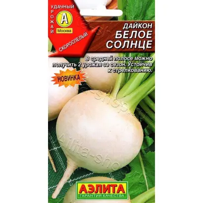 БЕЛОЕ СОЛНЦЕ