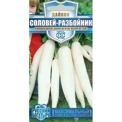 СОЛОВЕЙ-РАЗБОЙНИК