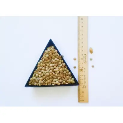 ЕКАТЕРИНОВСКАЯ