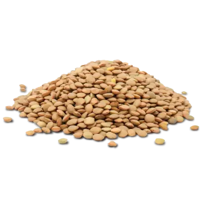 ДОНСКАЯ КРАСНОЗЕРНАЯ