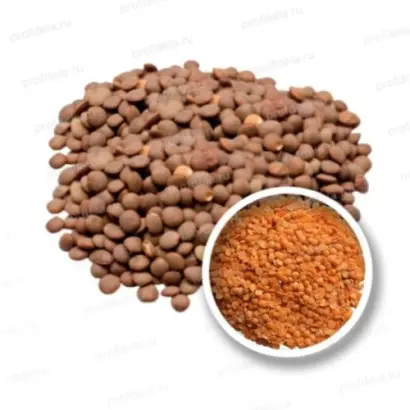 ОРЛОВСКАЯ КРАСНОЗЕРНАЯ