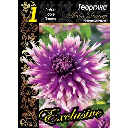 ТАБЛ ДАНСЕР