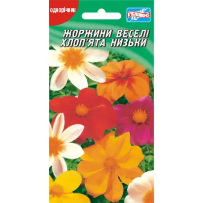 ВЕСЕЛЫЕ РЕБЯТА ОРАНЖЕВЫЕ