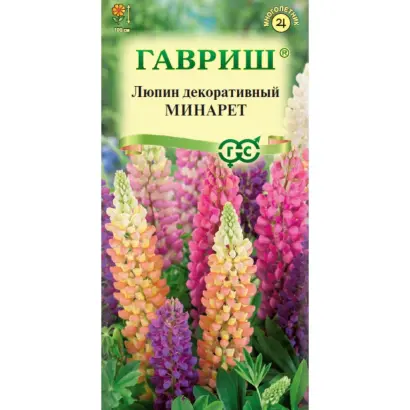 НОВОЗЫБКОВСКИЙ 100