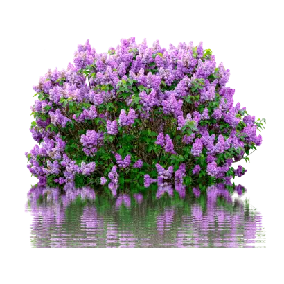 ХАНТИНГ ТАУЕР