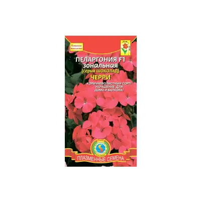 ГОРЯЧИЙ ШОКОЛАД