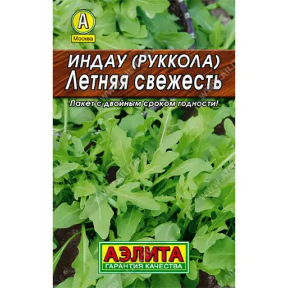 ЛЕТНЯЯ СВЕЖЕСТЬ