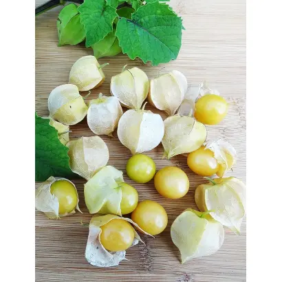 АНАНАСОВЫЙ