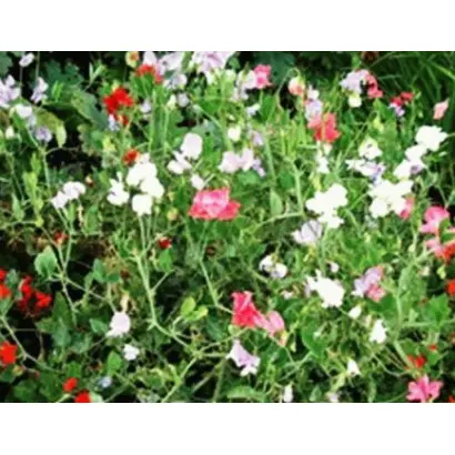 К 850-ЛЕТИЮ МОСКВЫ