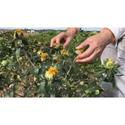 ПАМЯТИ КАПИТОНА НОВОЖИЛОВА