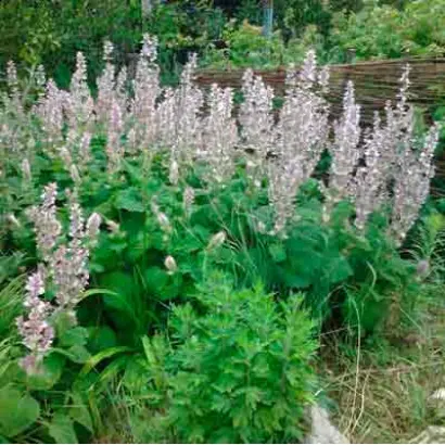 ВОЗНЕСЕНСКИЙ 24