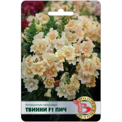 СОЛНЕЧНЫЙ ВОСХОД