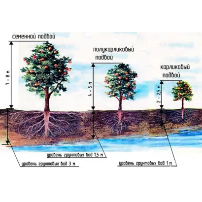 ФУНДАМЕНТАЛЬНАЯ