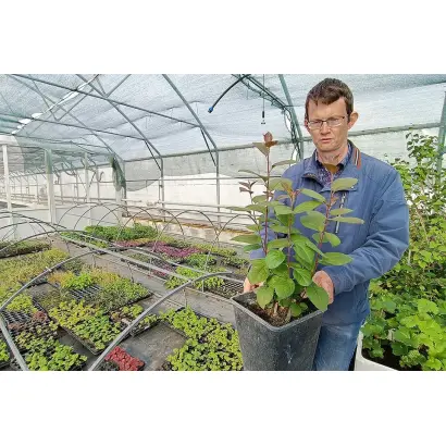 ПАМЯТИ СУНГОРКИНА