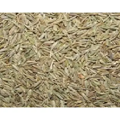 МОРШАНСКАЯ 143