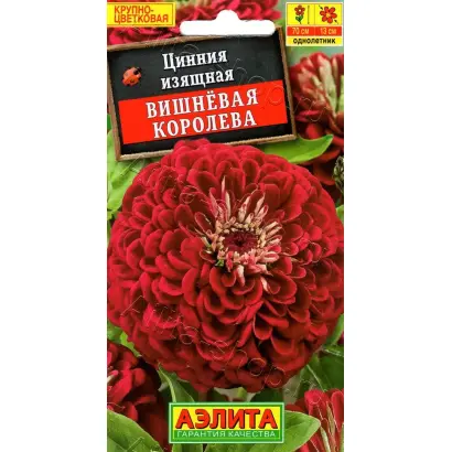 ВИШНЕВАЯ КОРОЛЕВА