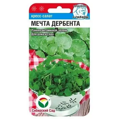 МЕЧТА ДЕРБЕНТА