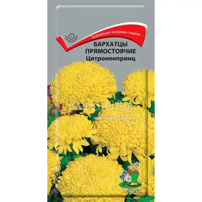 ЦИТРОНЕН ПРИНЦ