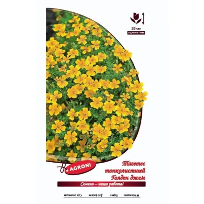 ГОЛДЕН ДЖЕМ