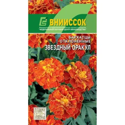 ЗВЕЗДНЫЙ ОРАКУЛ