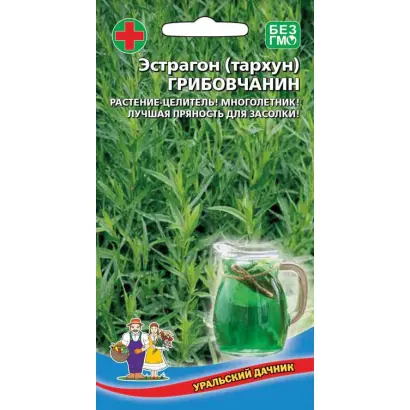 ГРИБОВЧАНИН