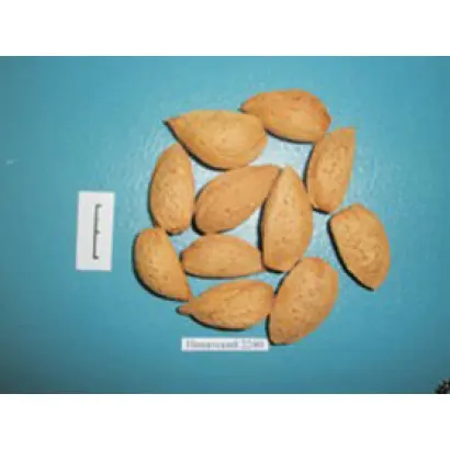 НИКИТСКИЙ 2240