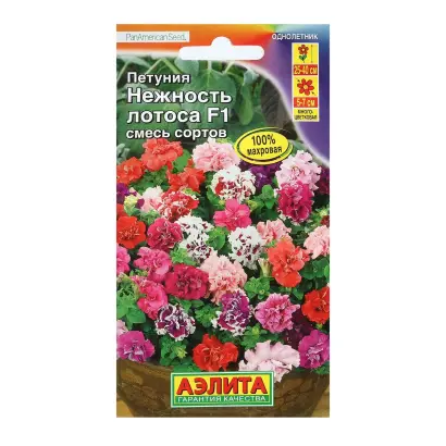 РУССКИЙ СИТЕЦ