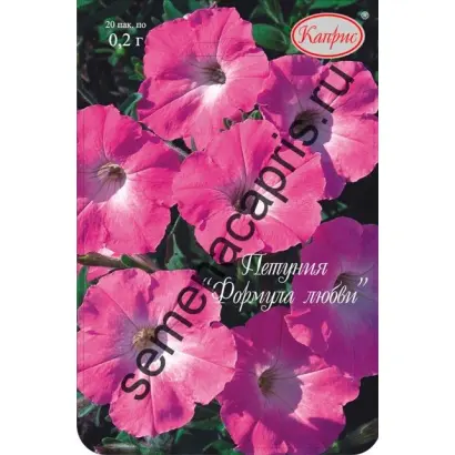 ФОРМУЛА ЛЮБВИ