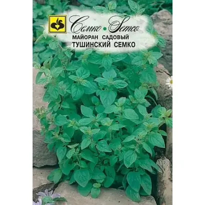 ТУШИНСКИЙ СЕМКО