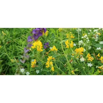 ПОВОЛЖСКАЯ 94