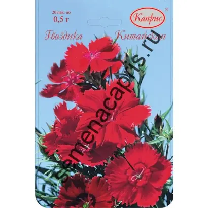 ТАНЕЦ ГЕЙШИ