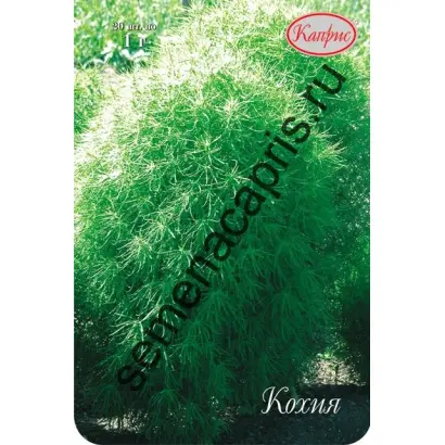 КОРОЛЕВСКИЙ ЗАМОК