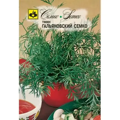 ГАЛЬЯНОВСКИЙ СЕМКО